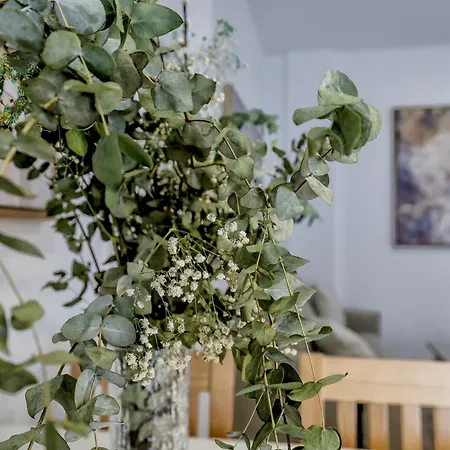 Alminar Apartamentos, Parking Incluido Junto Al Centro Апартаменты